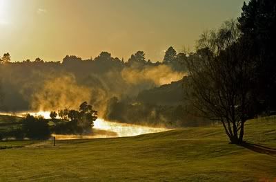 steaming danube
