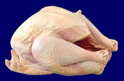 turkey