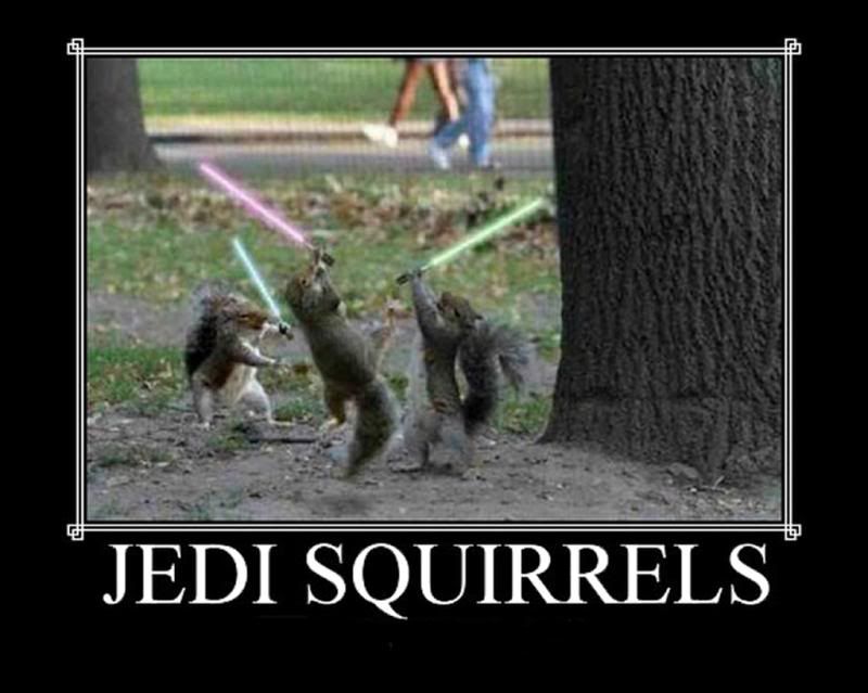 JediSquirrels_zps2697129a.jpg