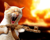 ththCatMachineGun.gif Machine Gun Pussy image by Kandyman__1