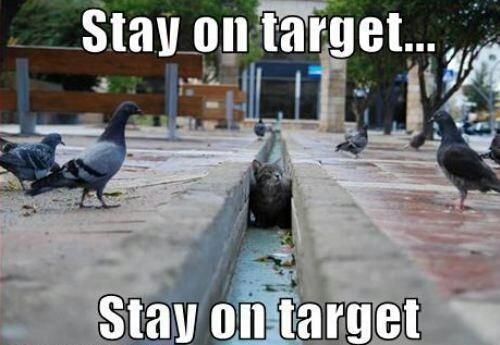  photo stayontarget.jpg