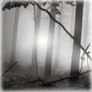 graveavat.jpg picture by ra22a