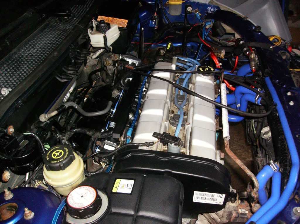 Car2011-1.jpg