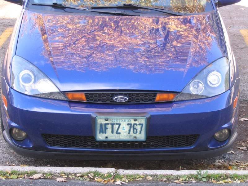 1st012.jpg