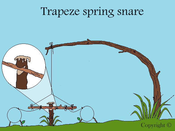 trapezespringsnare.png