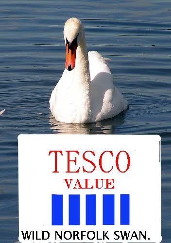swan2.jpg