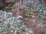th_DSC00562.jpg