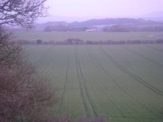 DSC00582.jpg