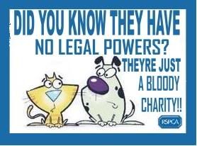 untitledRSPCA.jpg