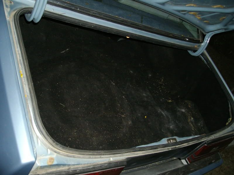 IMGP0017.jpg