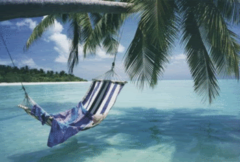 hammock Pictures, Images and Photos