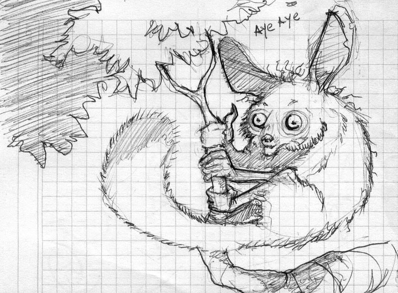 Stylized Animal Challenge - July 2007 - AYEAYE Stylized Animal Challenge - July 2007 - AYEAYE