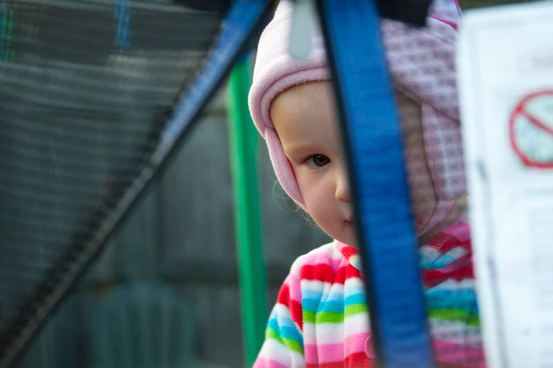 IMAGE: http://i102.photobucket.com/albums/m94/smooshdog/kids/larrion42.jpg