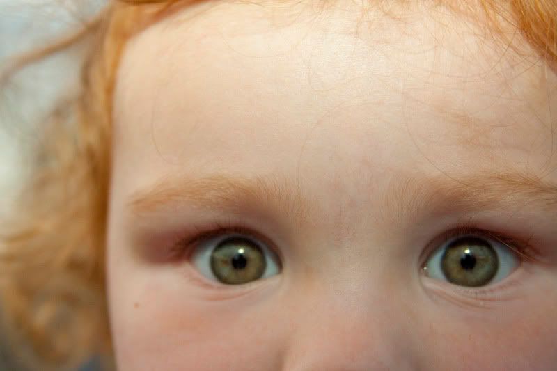 IMAGE: http://i102.photobucket.com/albums/m94/smooshdog/kids/larrion92a.jpg