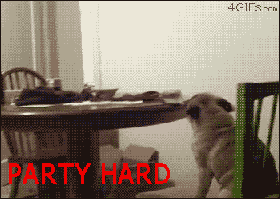 4285387_46009457d9fb5e1c413a2fbd41fc503b.gif