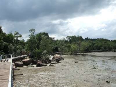 Ubin Trip