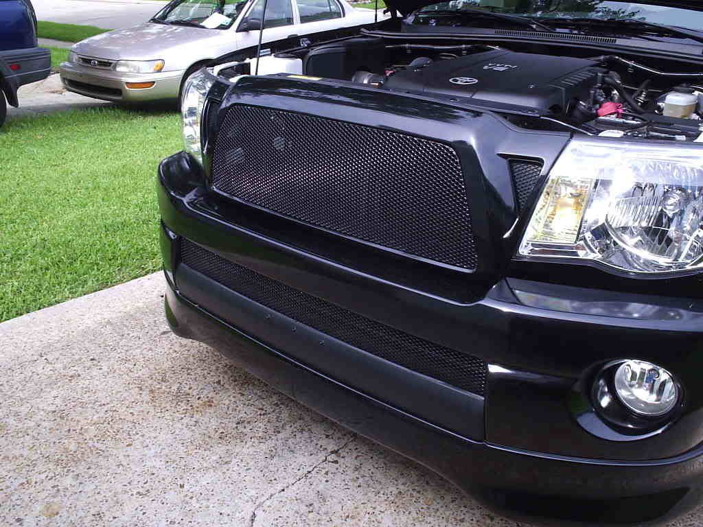 horns004.jpg