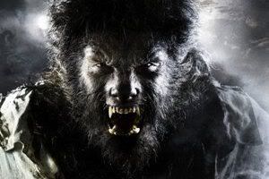 Wolfman