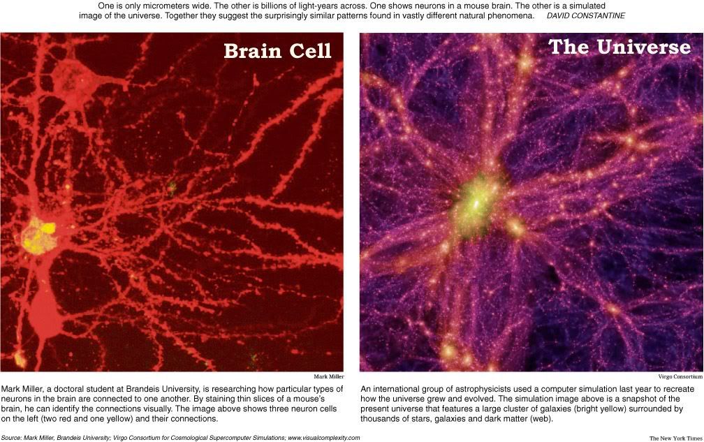 neuron-galaxy2.jpg