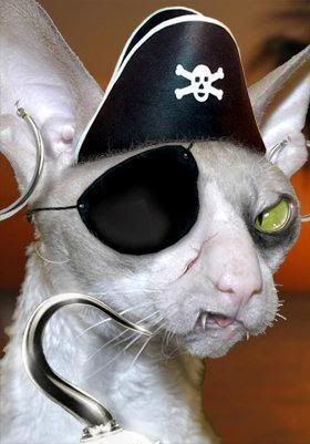 PiratePussy.jpg