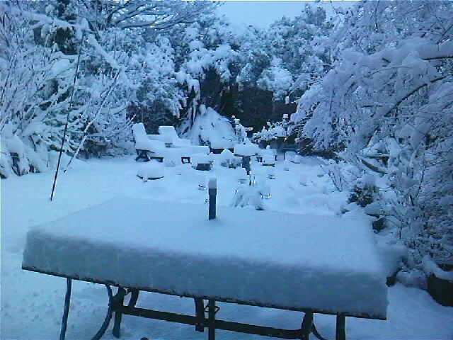 Snow2010.jpg