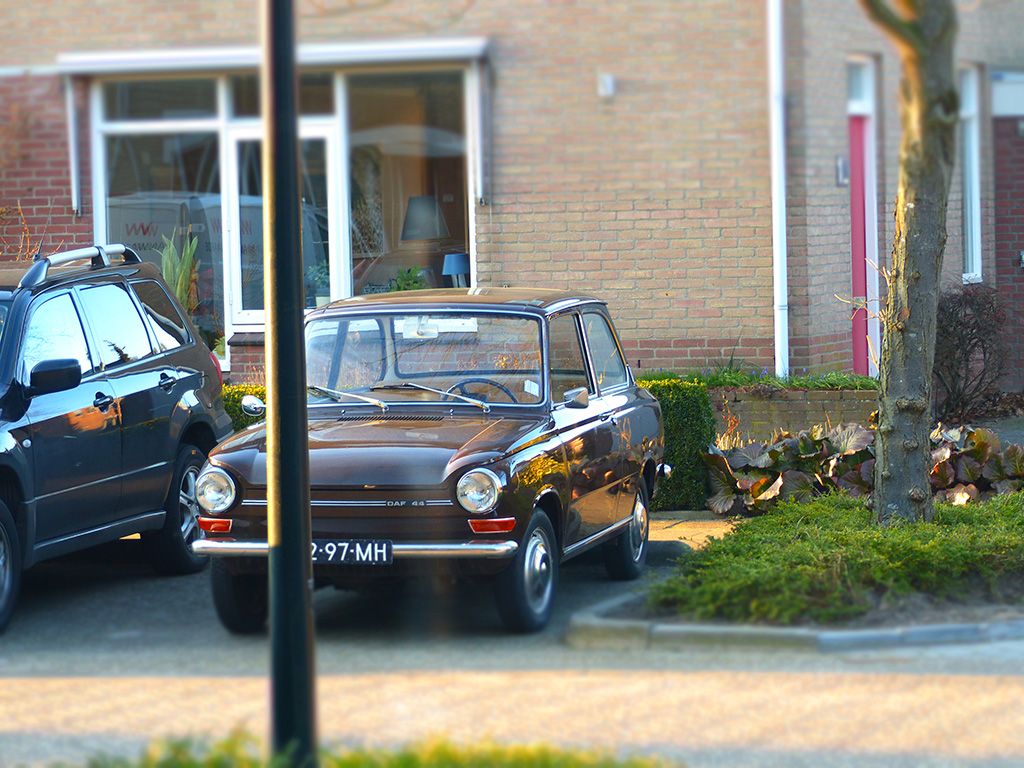 P1030414.jpg