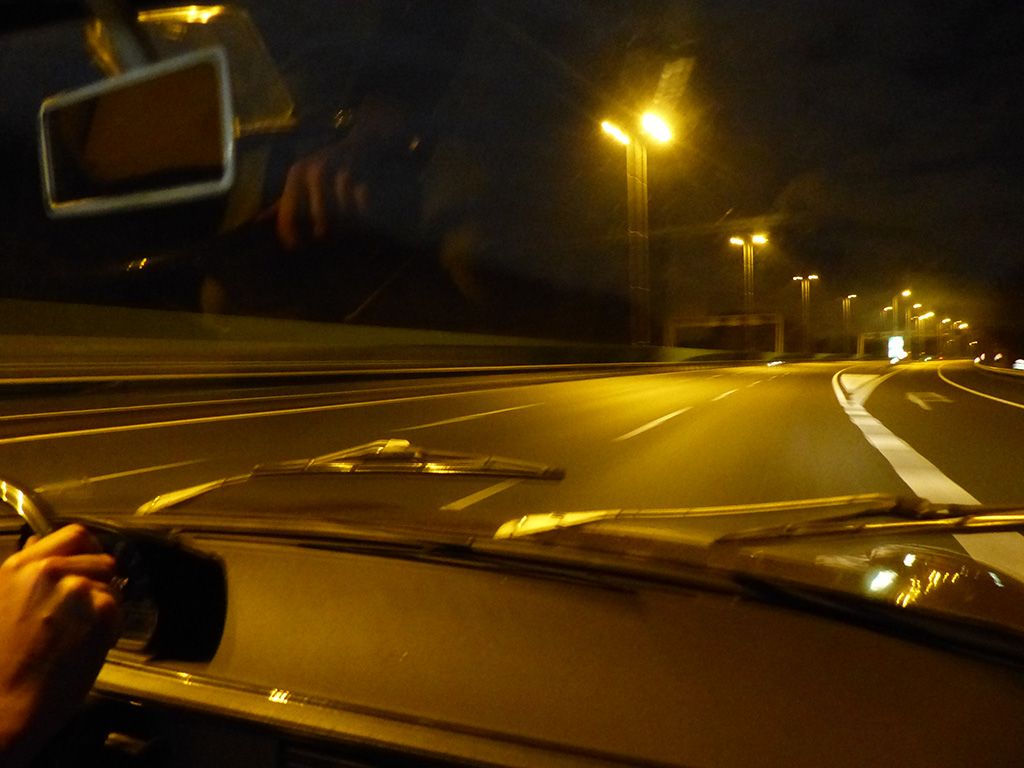 P1030447.jpg