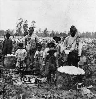 1860s_Slaves_Picking_Cotton.jpg Slaves image by sweetpeace86