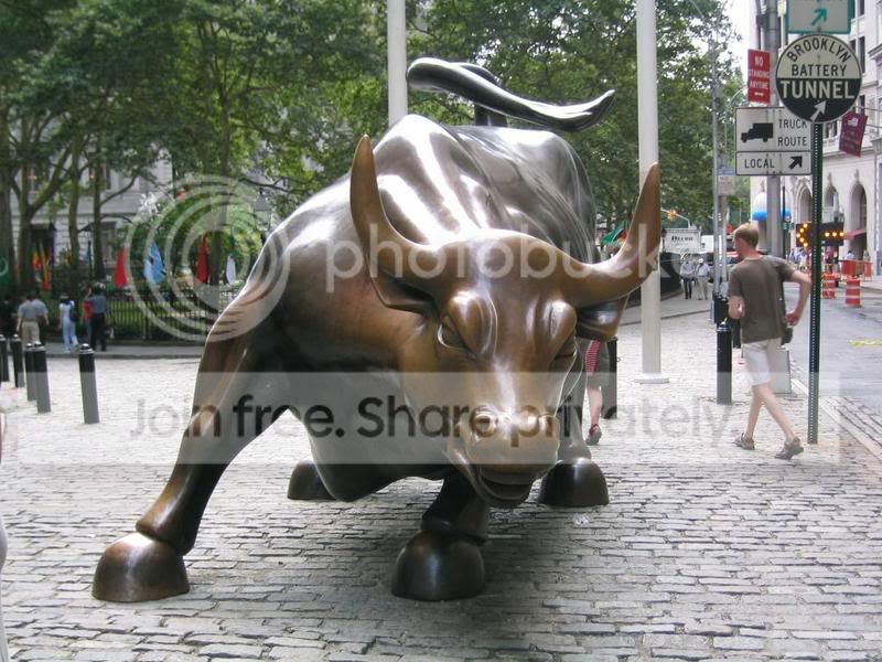 _Bull.jpg
