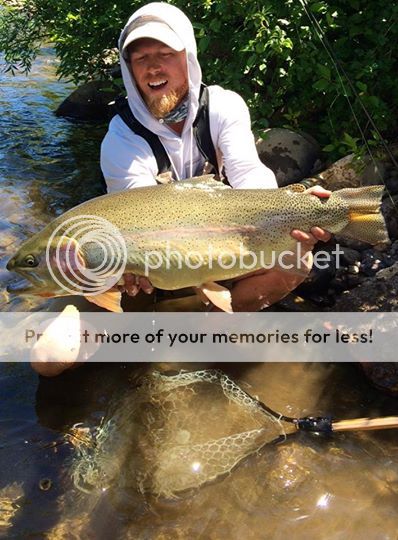 how to catch a colorado trout on a barbless spinner in fishing planet