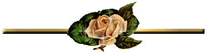 AllieKatzGraphics.com!
