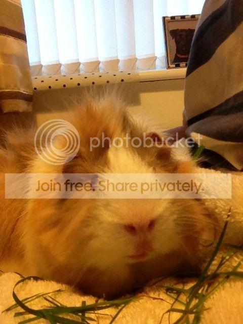 null_zps6e1a1c50.jpg
