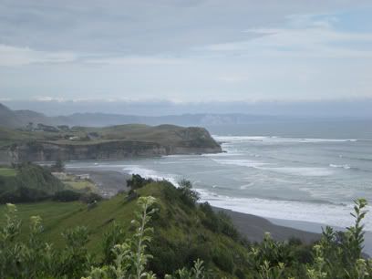 Auckland – Raglan – Eltham Auckland – Raglan – Eltham