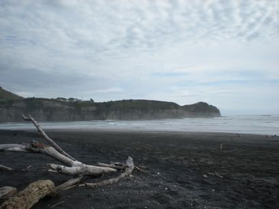 Auckland – Raglan – Eltham Auckland – Raglan – Eltham