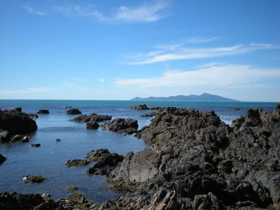 Wellington – Kapiti Coast – Eltham Wellington – Kapiti Coast – Eltham