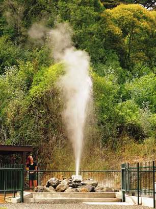 Te Aroha Geyser Paeroa - World Famous In New Zealand Te Aroha Geyser Paeroa - World Famous In New Zealand