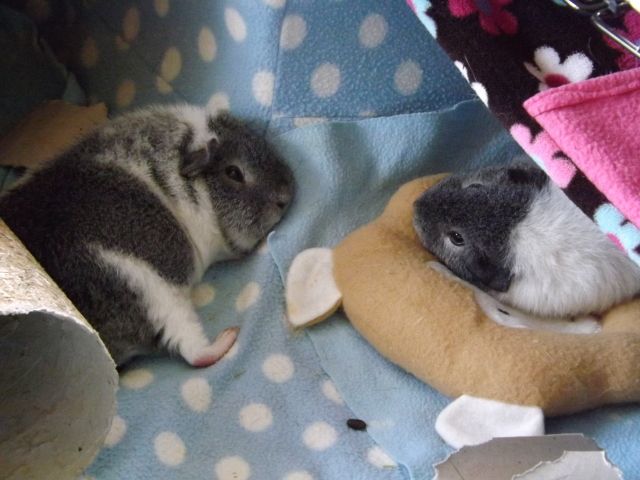 DSCF0154.jpg