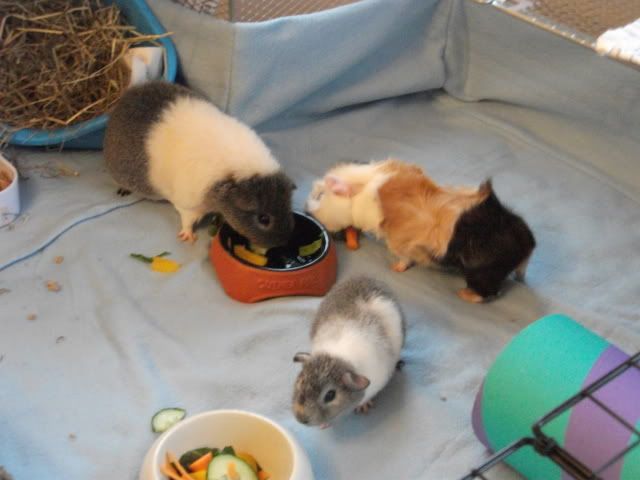 DSCF0791.jpg
