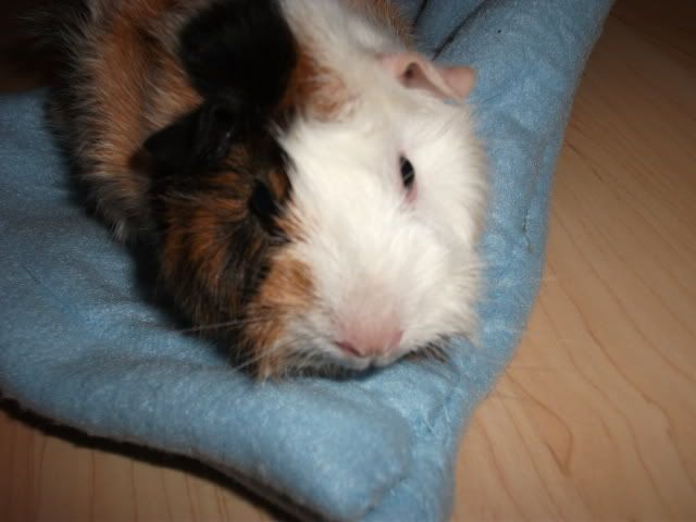 DSCF0800.jpg
