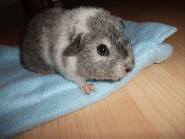 DSCF0805.jpg