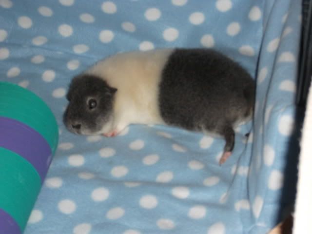 DSCF0821.jpg