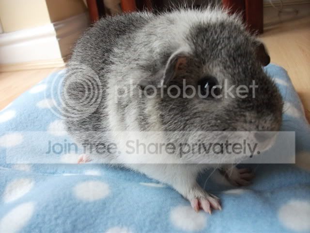 DSCF0971.jpg
