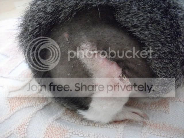 DSCF1102.jpg