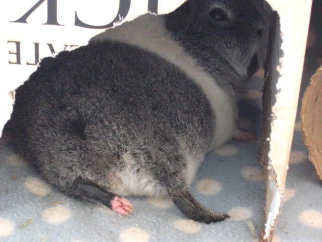DSCF1105.jpg