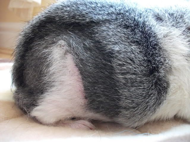 DSCF1125.jpg