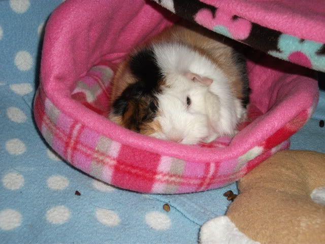 DSCF1469.jpg