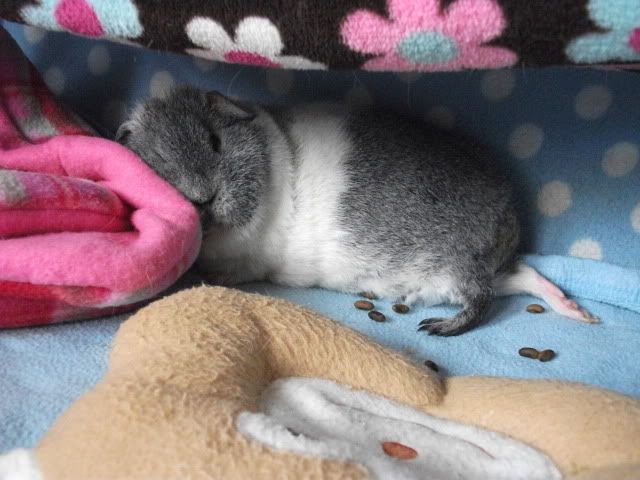 DSCF1480.jpg