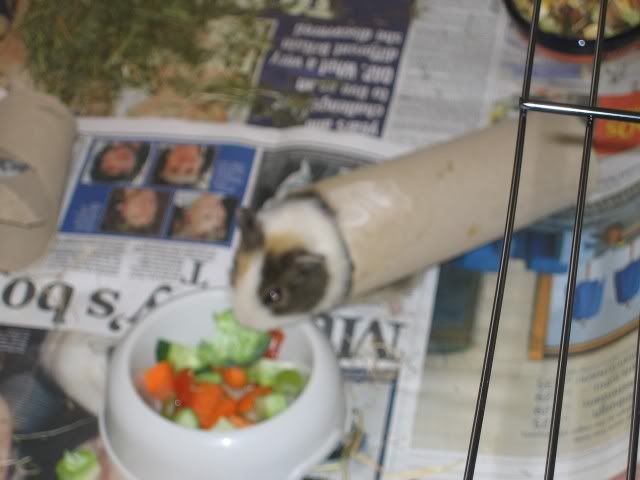 Oct29107.jpg